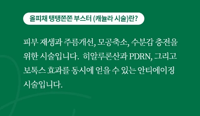 올피채 탱탱쫀쫀 부스터는 히알루론산과 PDRN, 보톡스 효과를 동시에 얻는 캐뉼라 시술이라는 안내