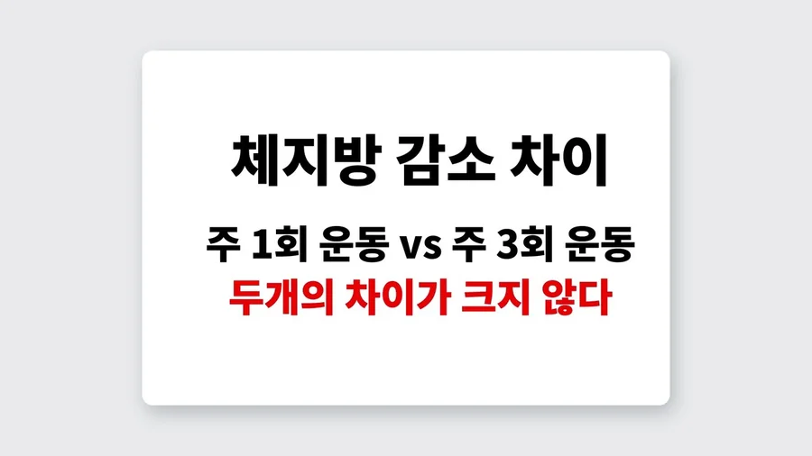 주 1회와 주 3회 운동의 체지방 감소 차이를 다룬 유정민 대표원장 영상의 한 장면